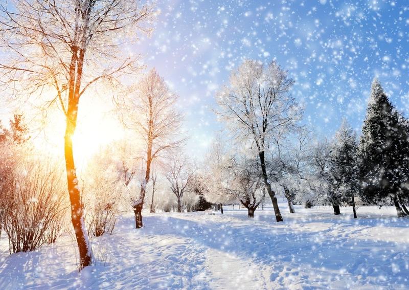 Experience Christmas with the most famous composers and their compositions - preview image